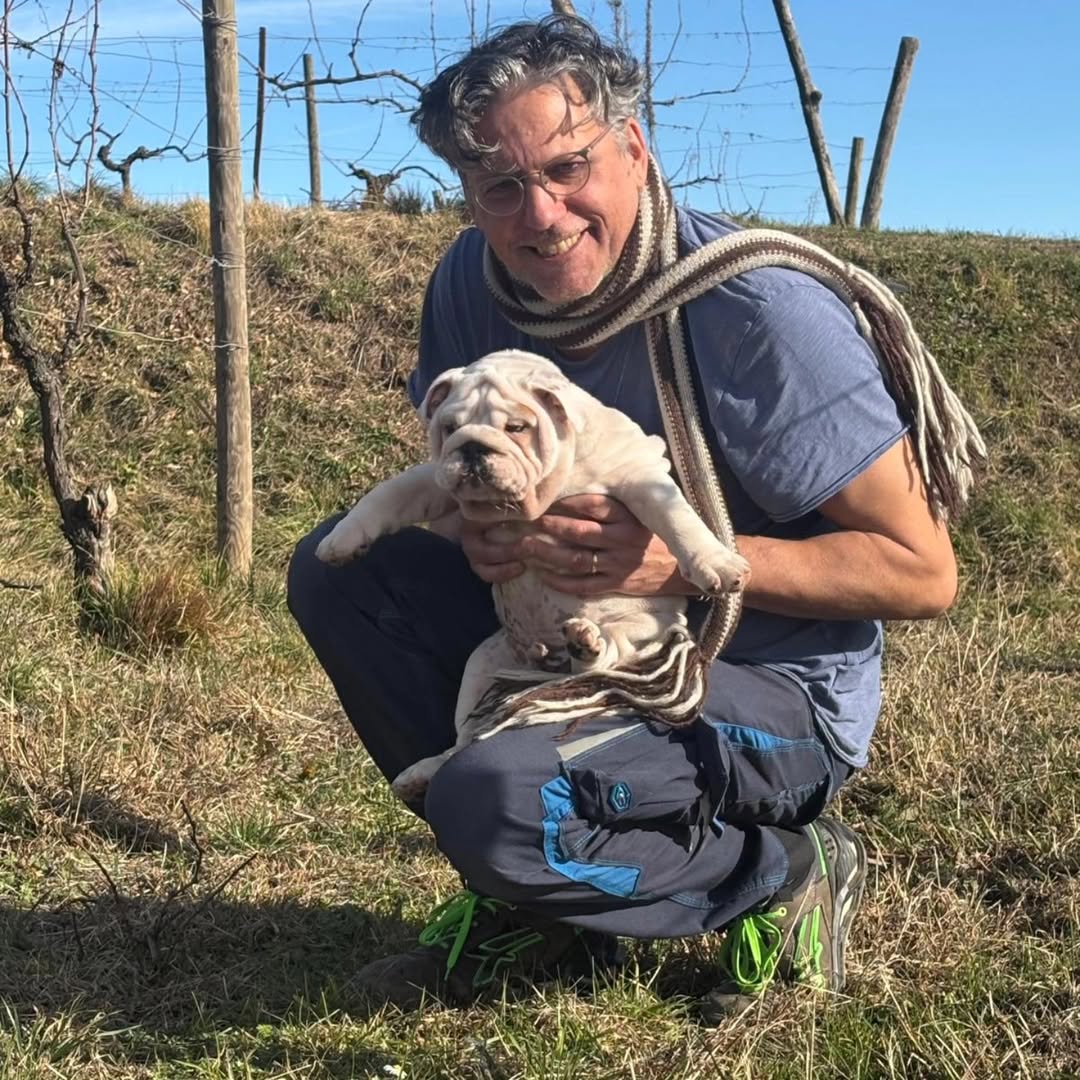 I Clivi (Friuli)