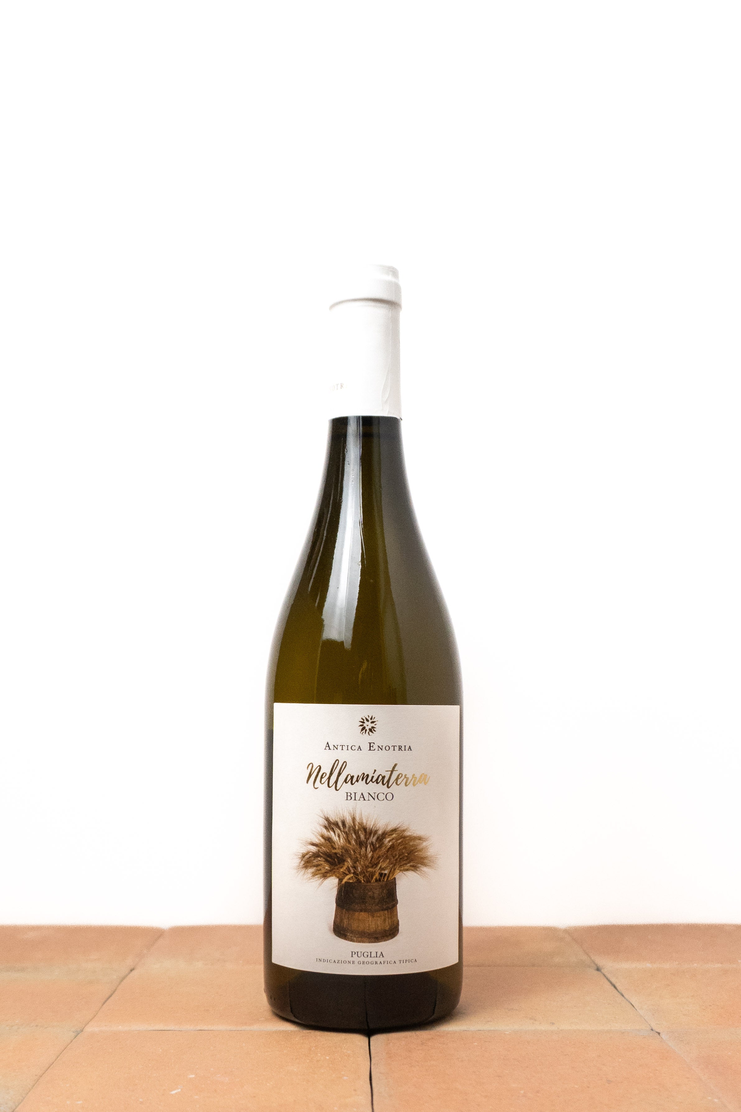 Vino Bianco "Nellamiaterra" 2025 - Antica Enotria