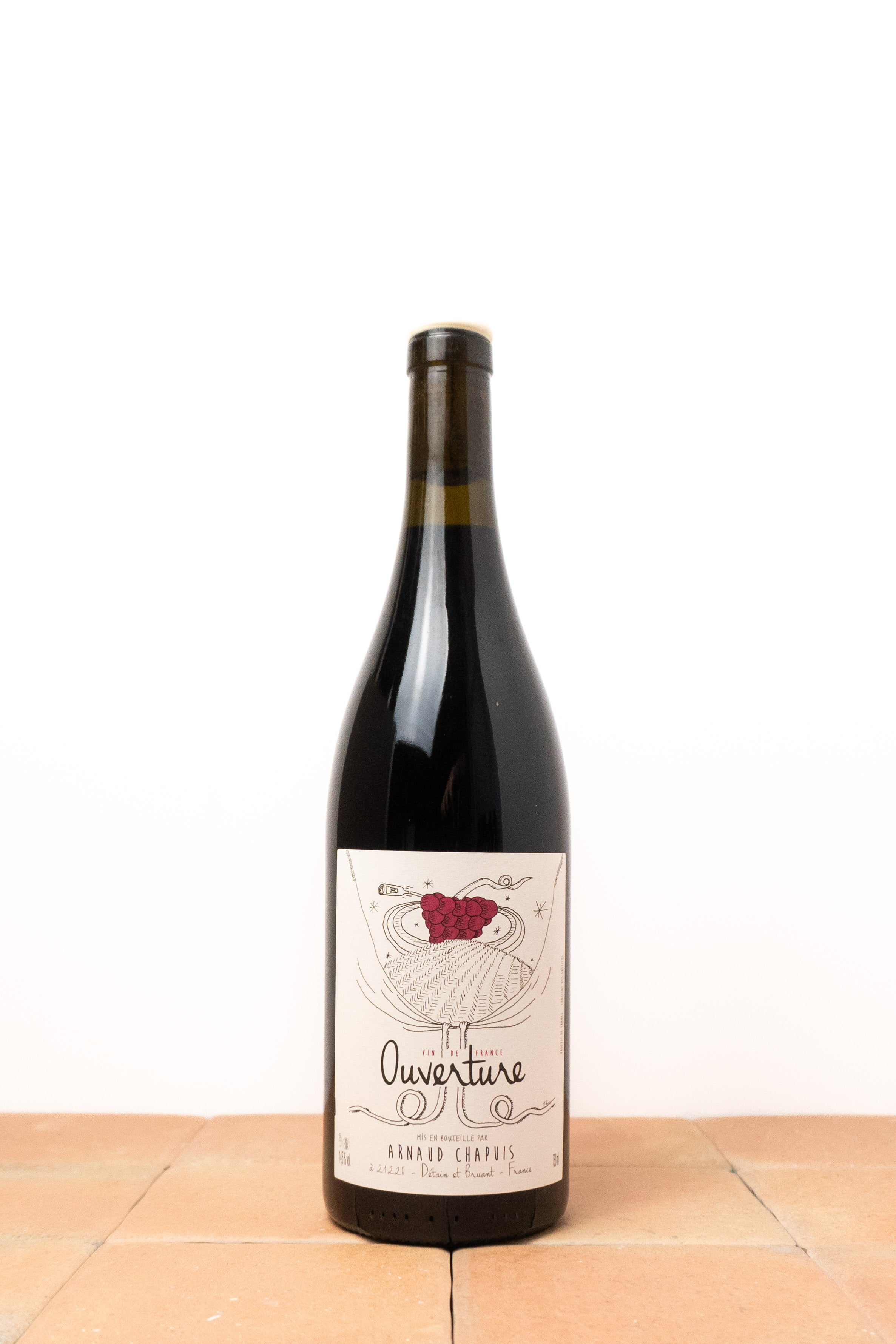 Pinot noir 2023 - Arnaud Chapuis (VN)