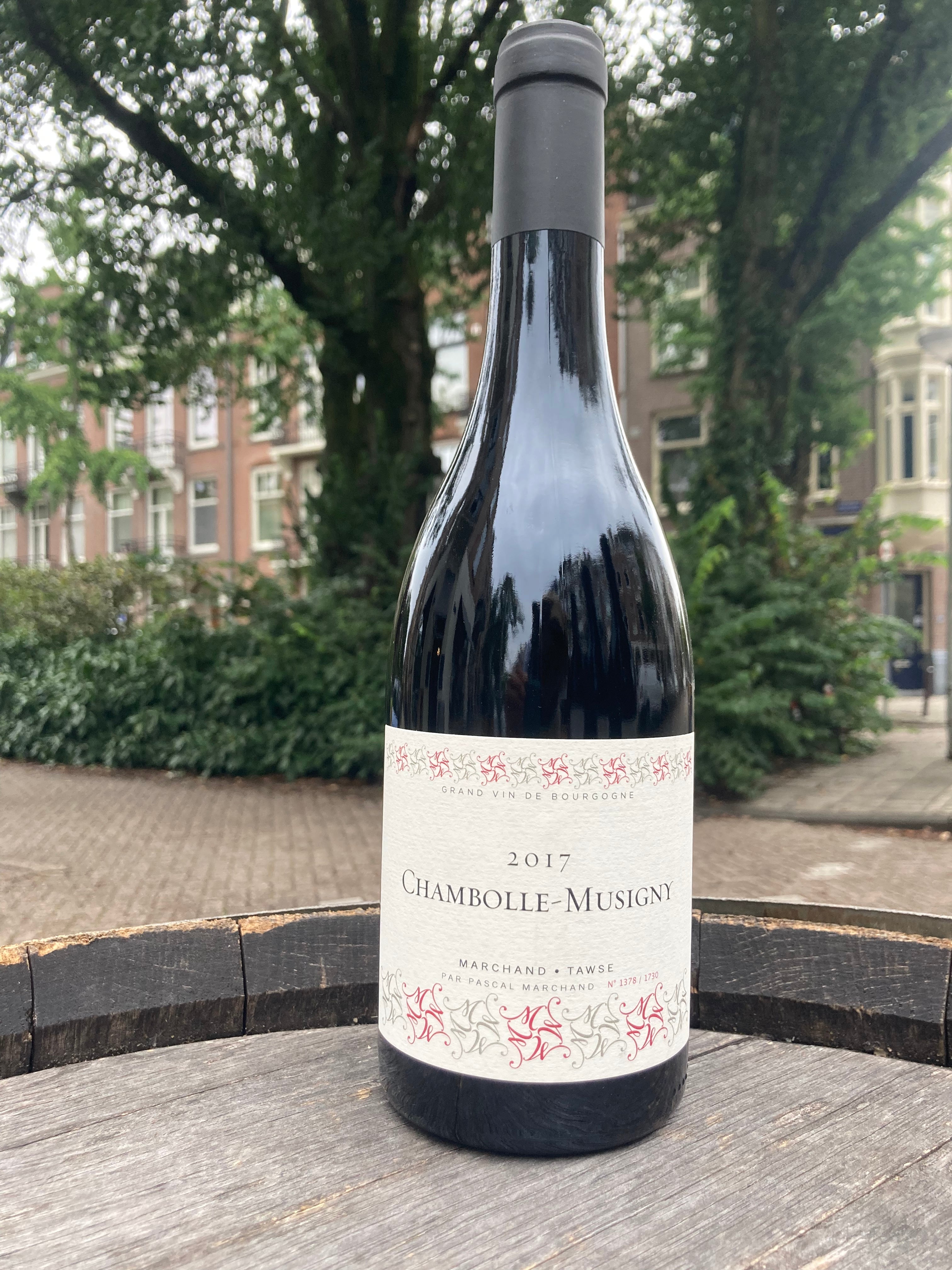 Chambolle Musigny 2020 - Pascal Marchand Tawse (BD & vin nature)