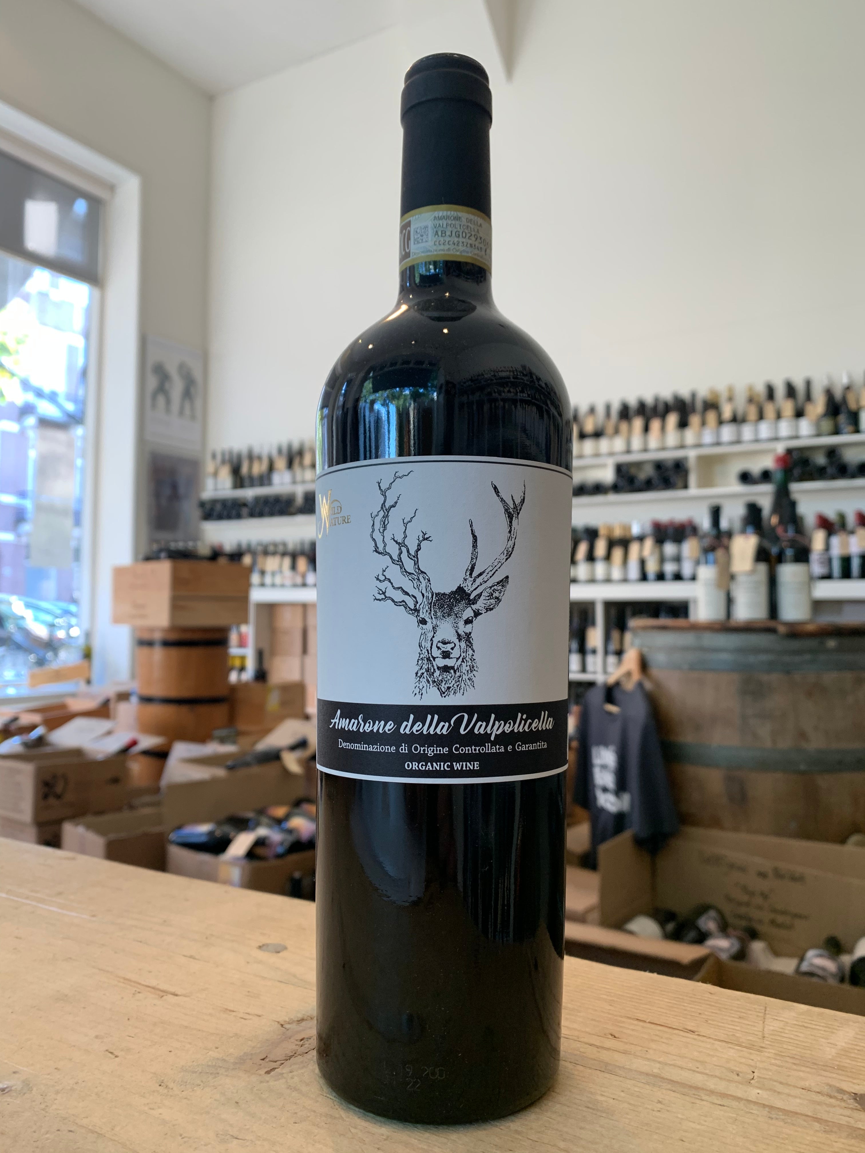 Amarone della Valpolicella 2016 - Fidora
