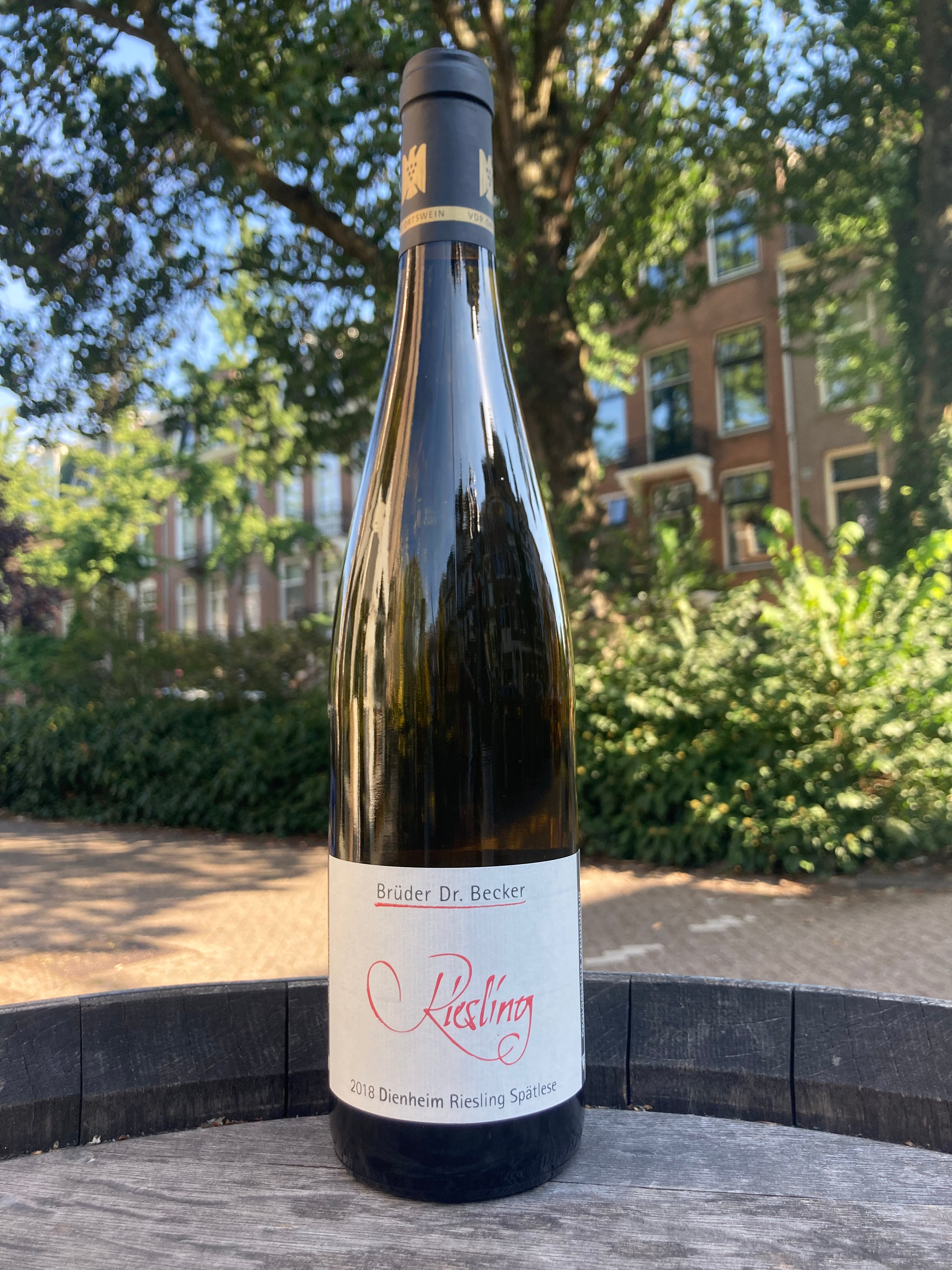 Riesling Spätlese "Dienheim" 2022 - Weingut Brüder Dr. Becker (BD & vin nature)