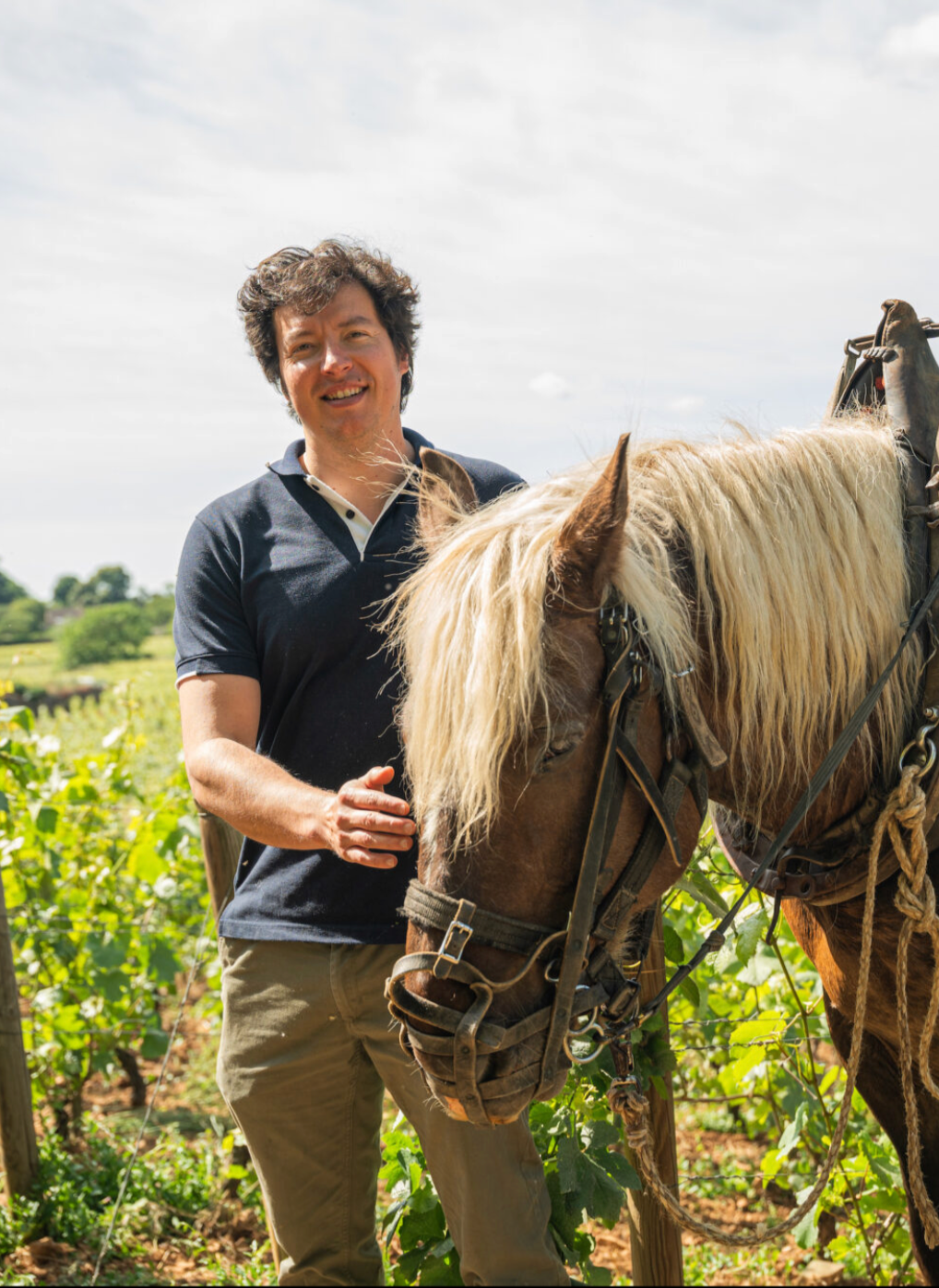 Domaine Jean Féry (Bourgogne)