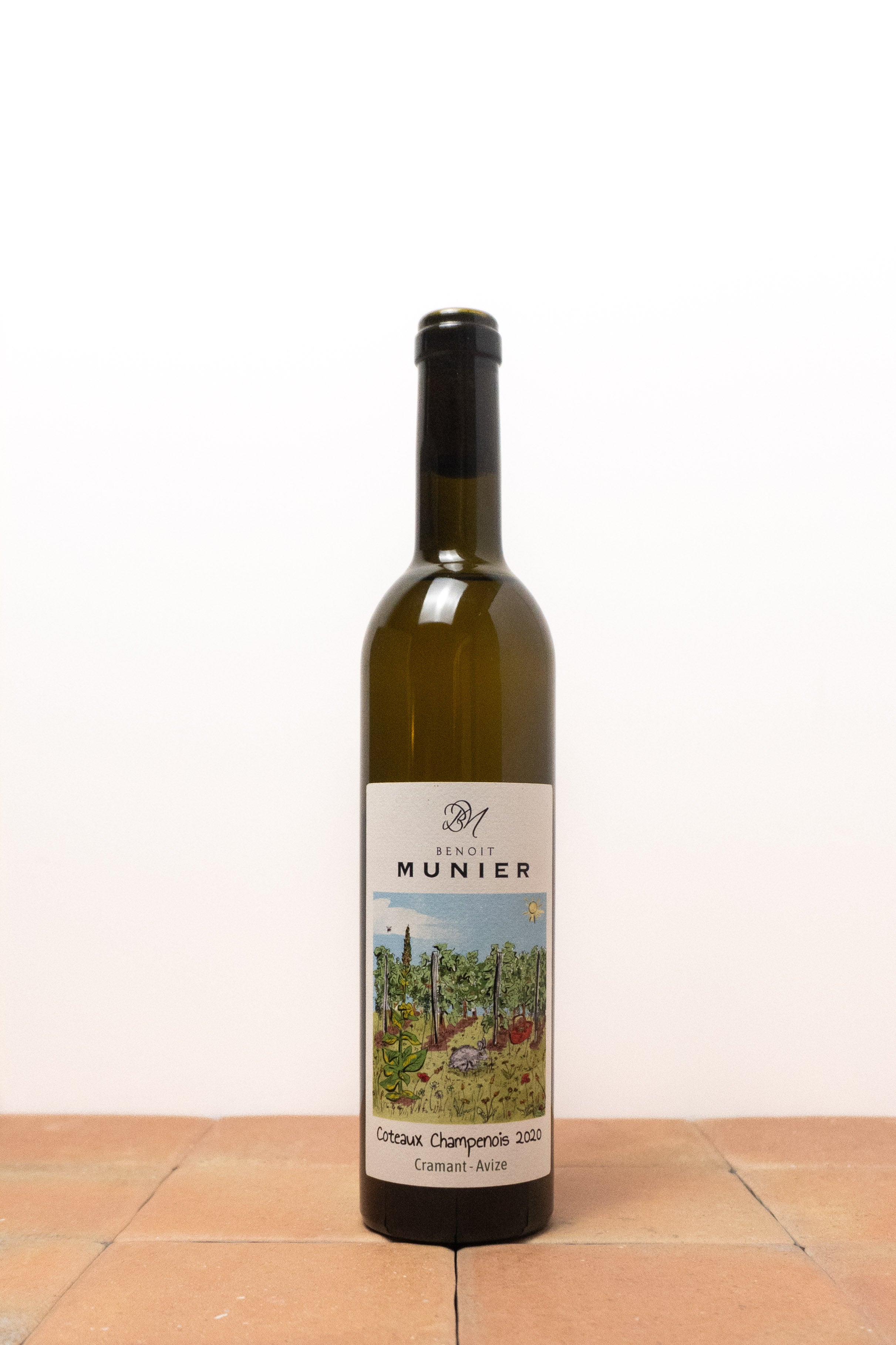 Coteaux Champenois Chardonnay - 50 cl 2020 - Benoit Munier (BD &amp; vin nature)