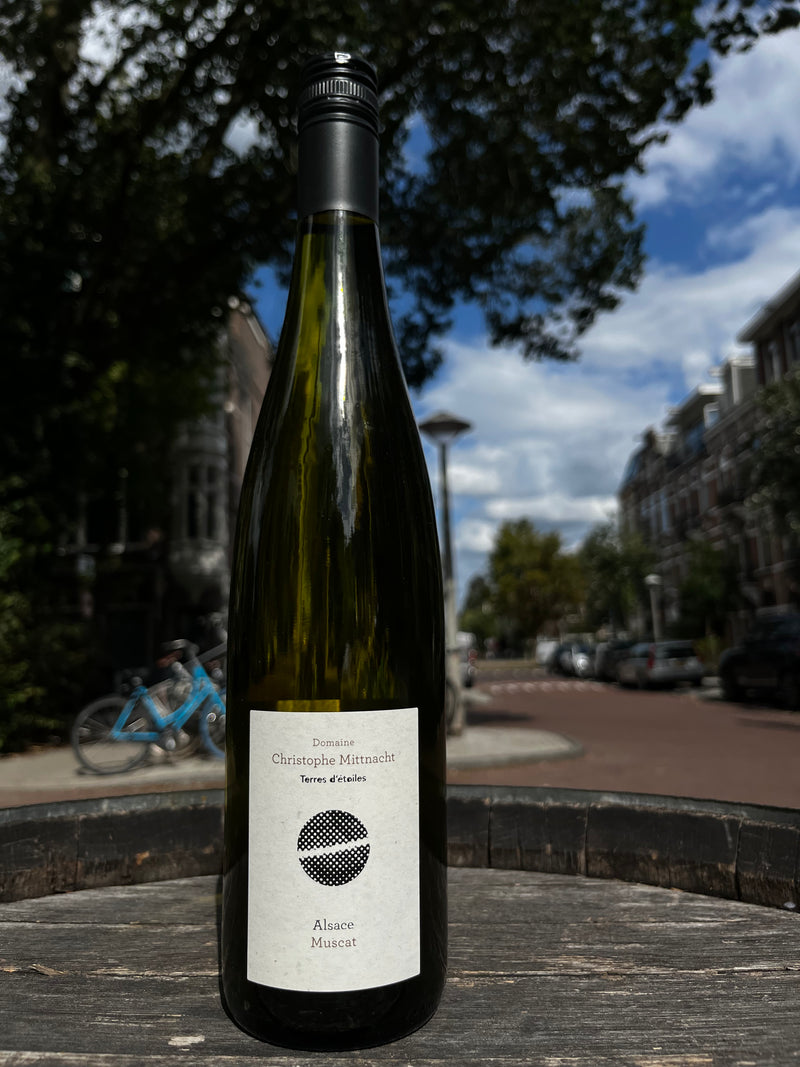 Muscat d'Alsace 2023 - Christophe Mittnacht (BD &amp; vin nature)