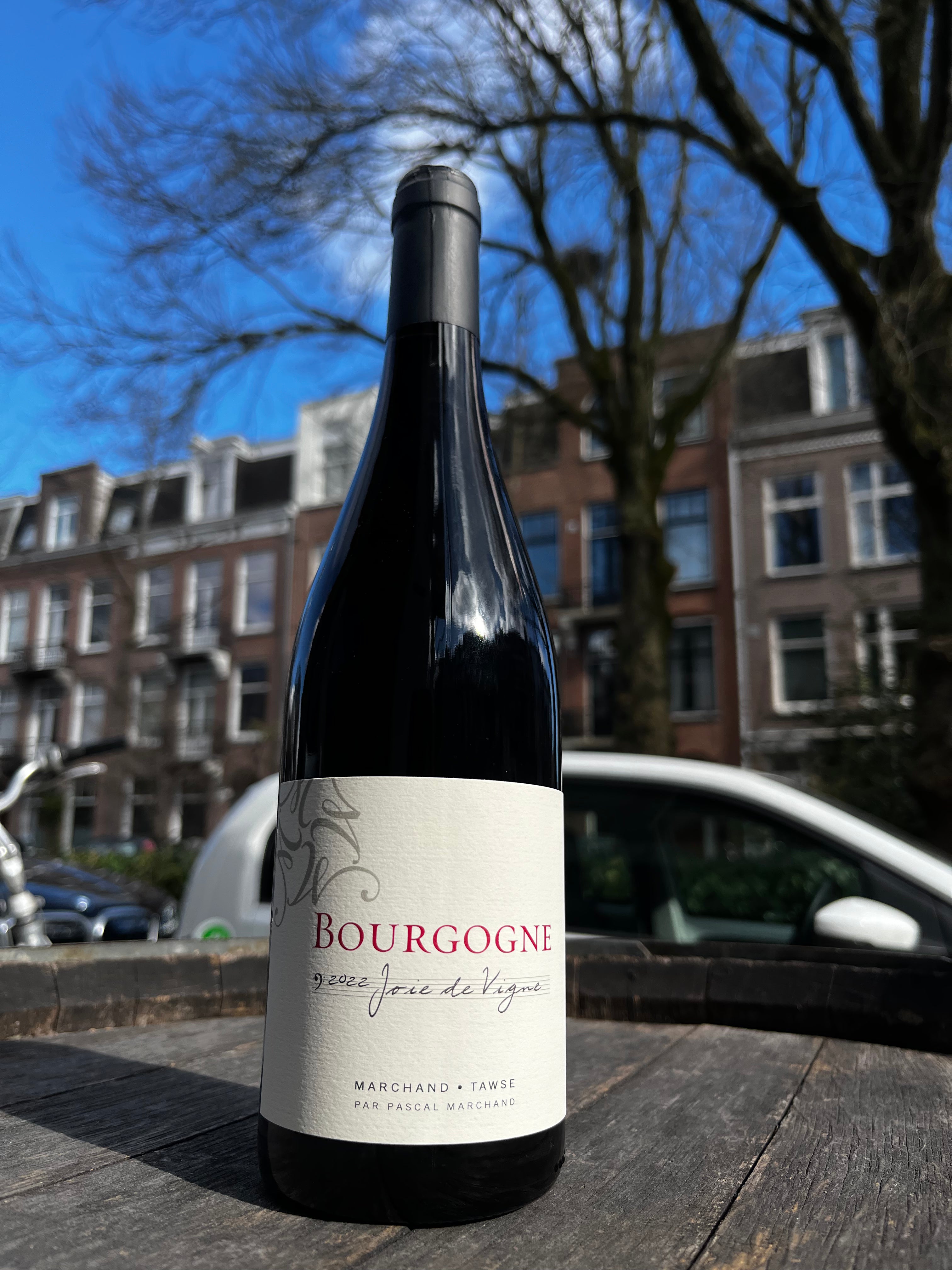 Bourgogne Rouge "Joie de Vigne" 2024 - Pascal Marchand Tawse (BD & vin nature)