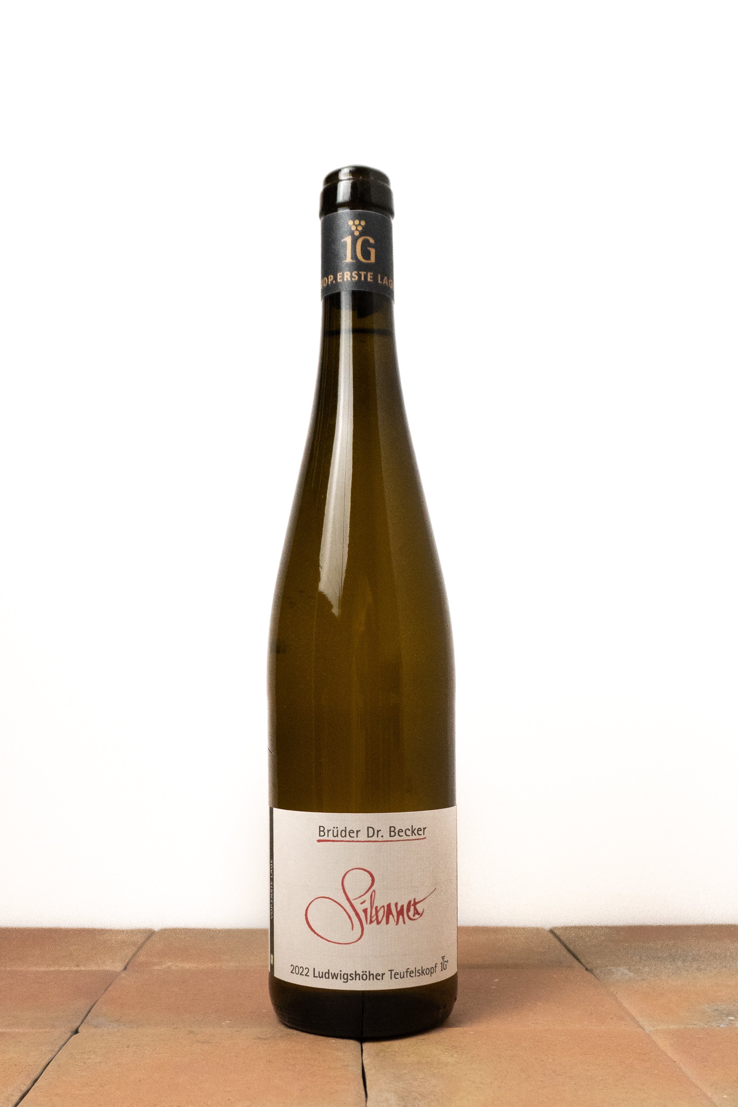 Silvaner Ludwigshöher Teufelskopf 1G  2023 - Weingut Brüder Dr. Becker
