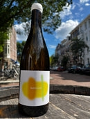 VSIG blanc "Bariolage" 2024 - Les Terres Bariolées (BD & vin nature)