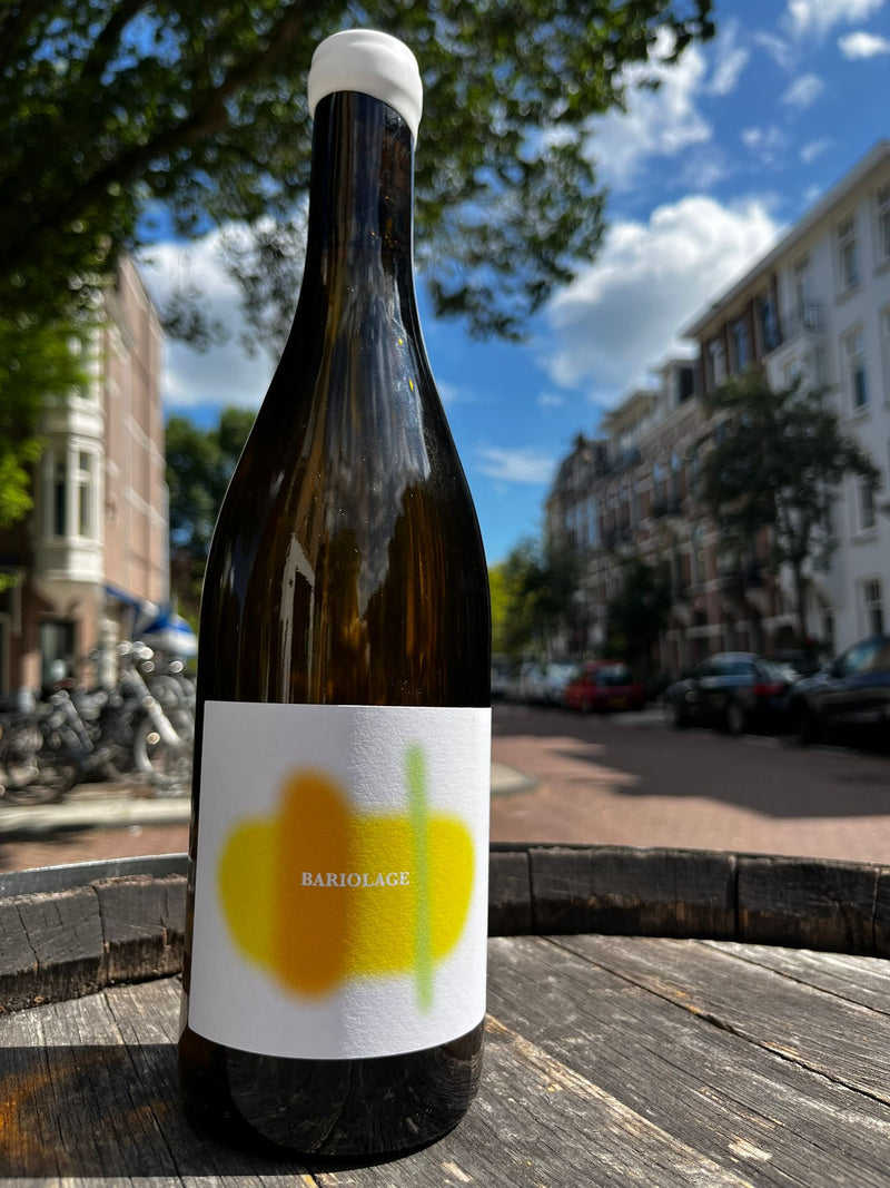 VSIG blanc "Bariolage" 2024 - Les Terres Bariolées (BD & vin nature)