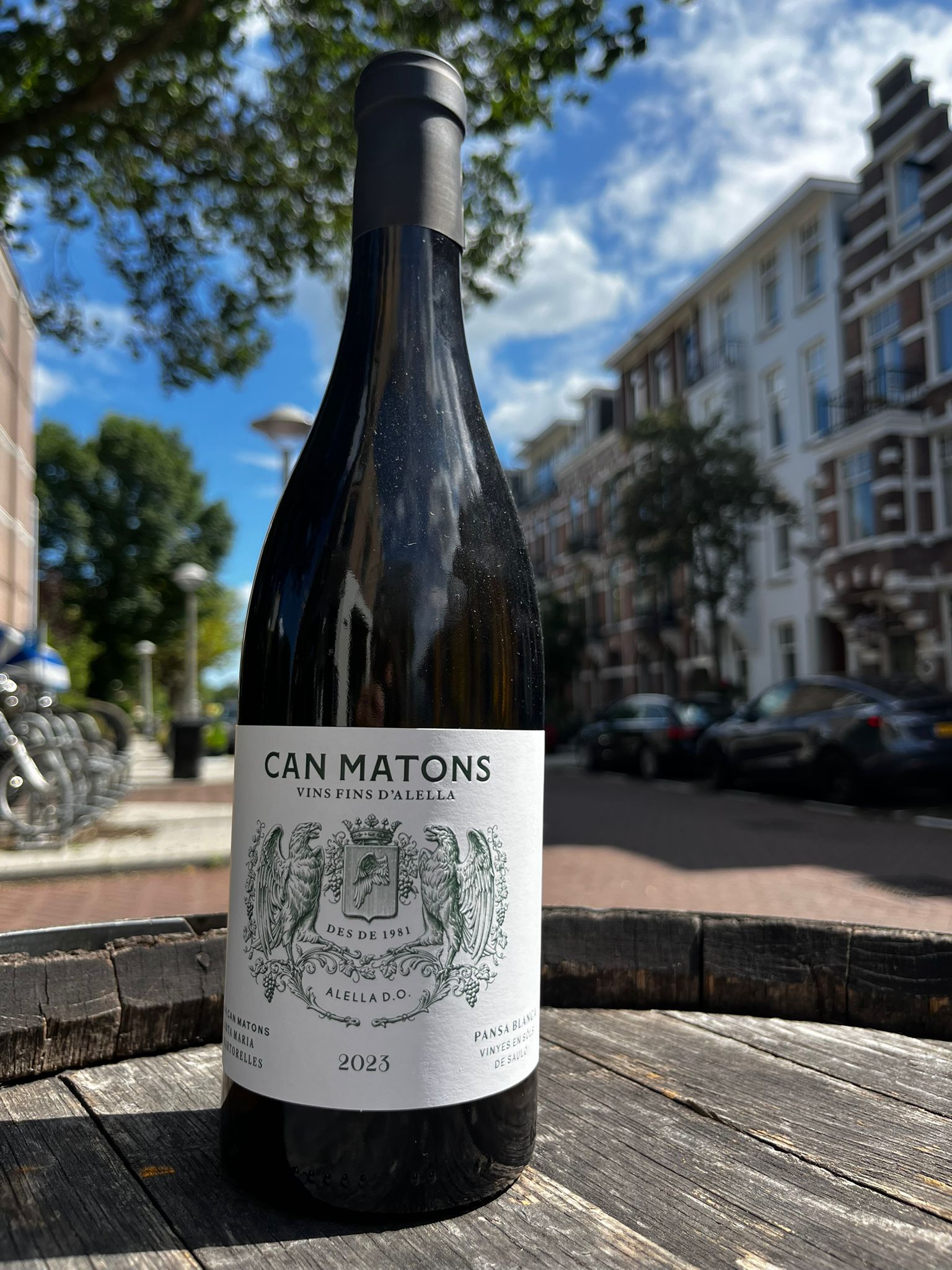 Pansa blanca 'Can Matons'  2023 - Mont-Ferrant