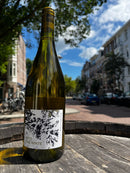 Mas Foulaquier "Into the White"