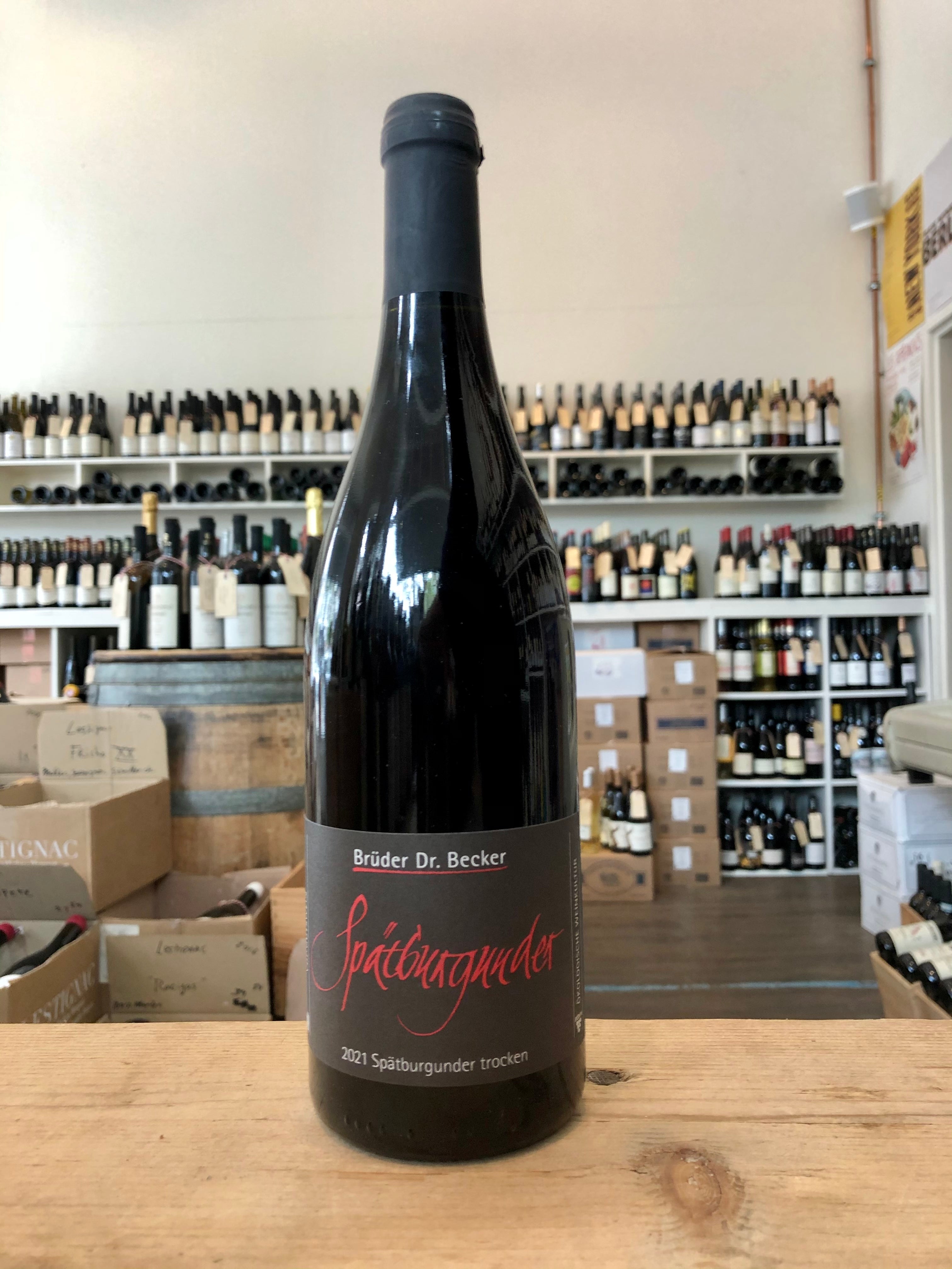 Spätburgunder trocken  2023 - Weingut Brüder Dr. Becker (BD & vin nature)