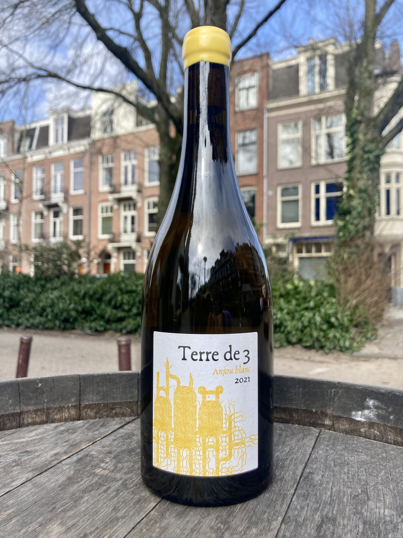 Anjou blanc "Terre de 3" 2023 - Terra Vita Vinum (BD &amp; vin nature)