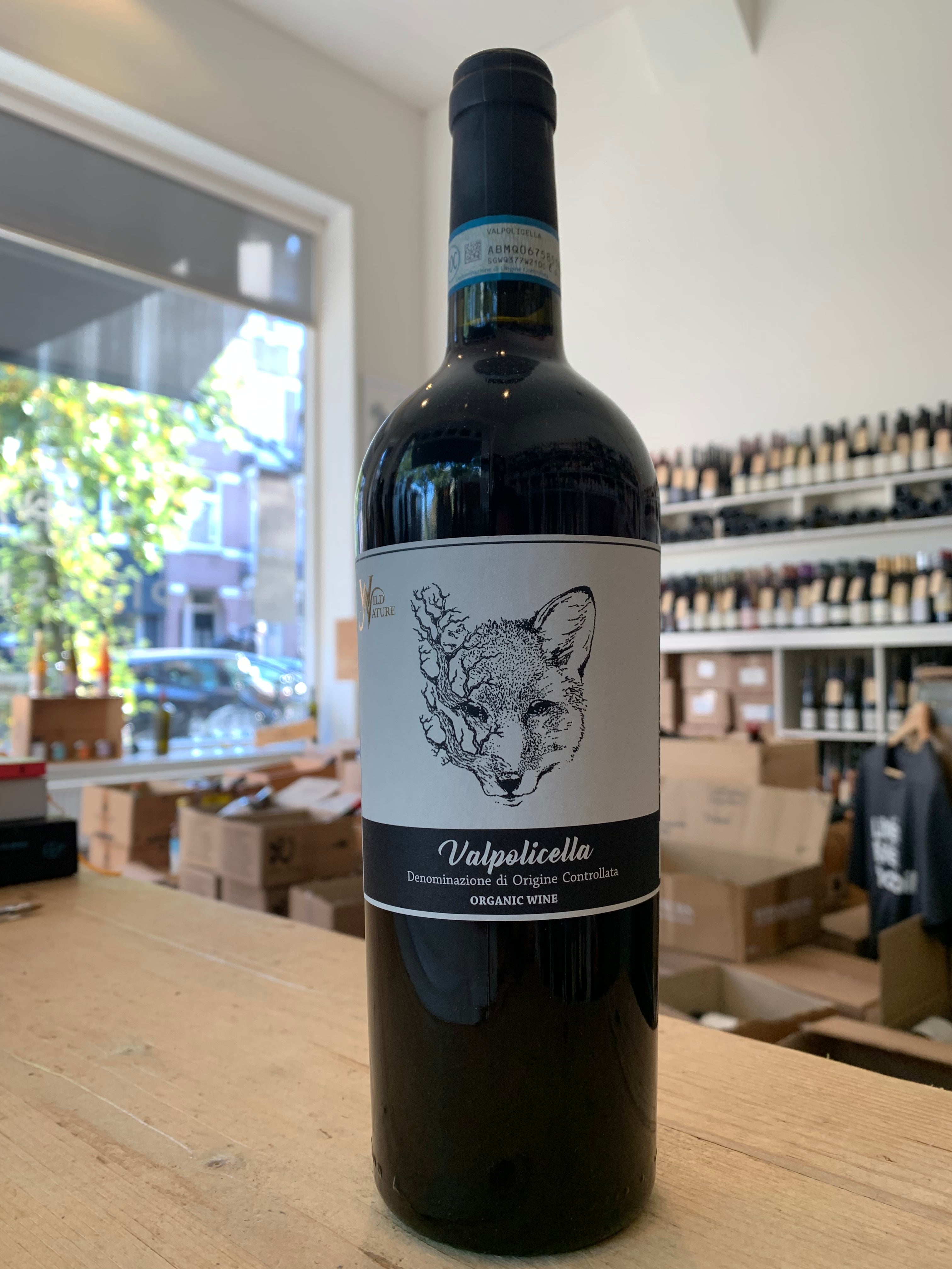 Valpolicella DOC 2022 - Fidora