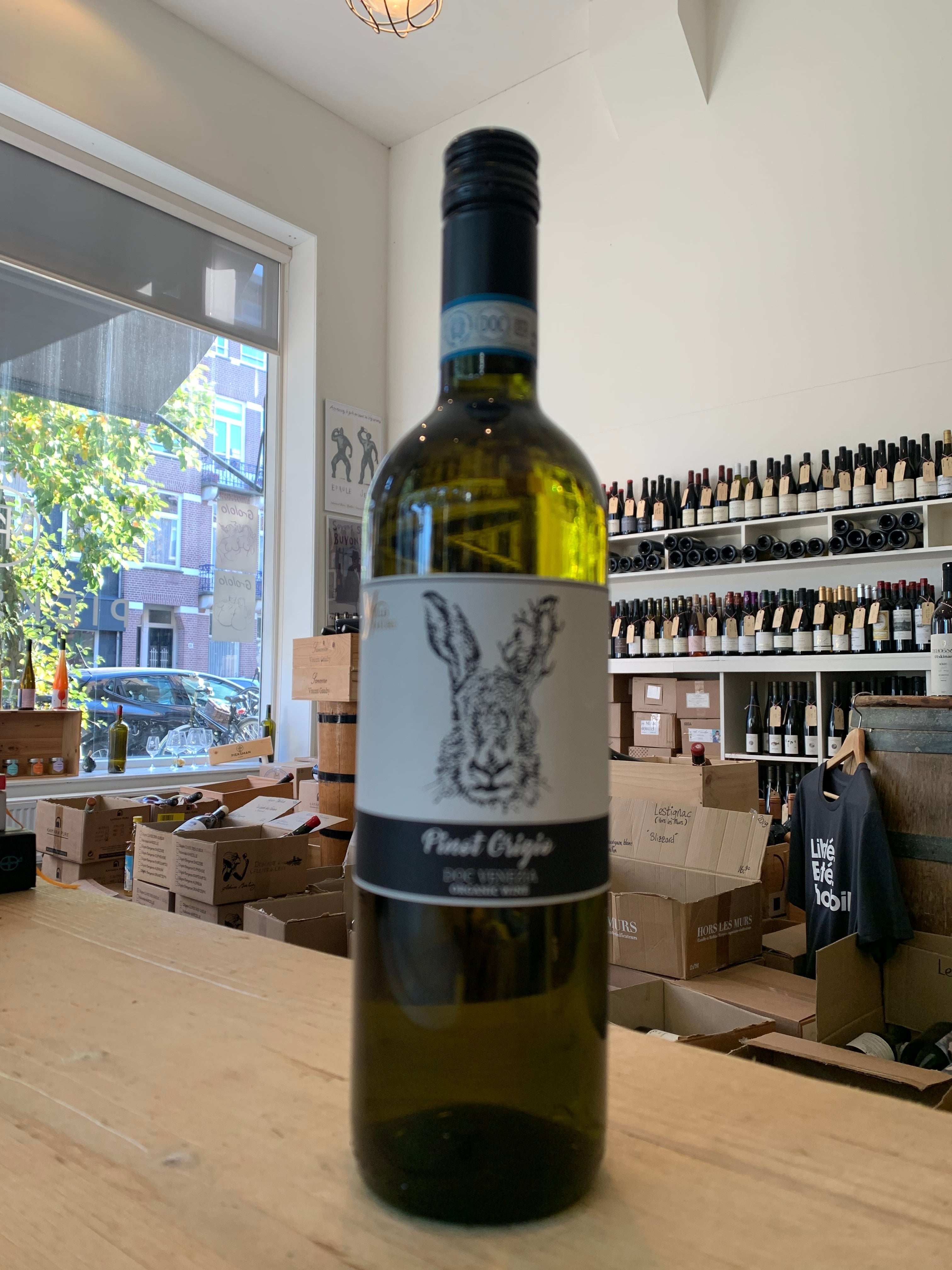 Pinot Grigio DOC 2024 - Fidora